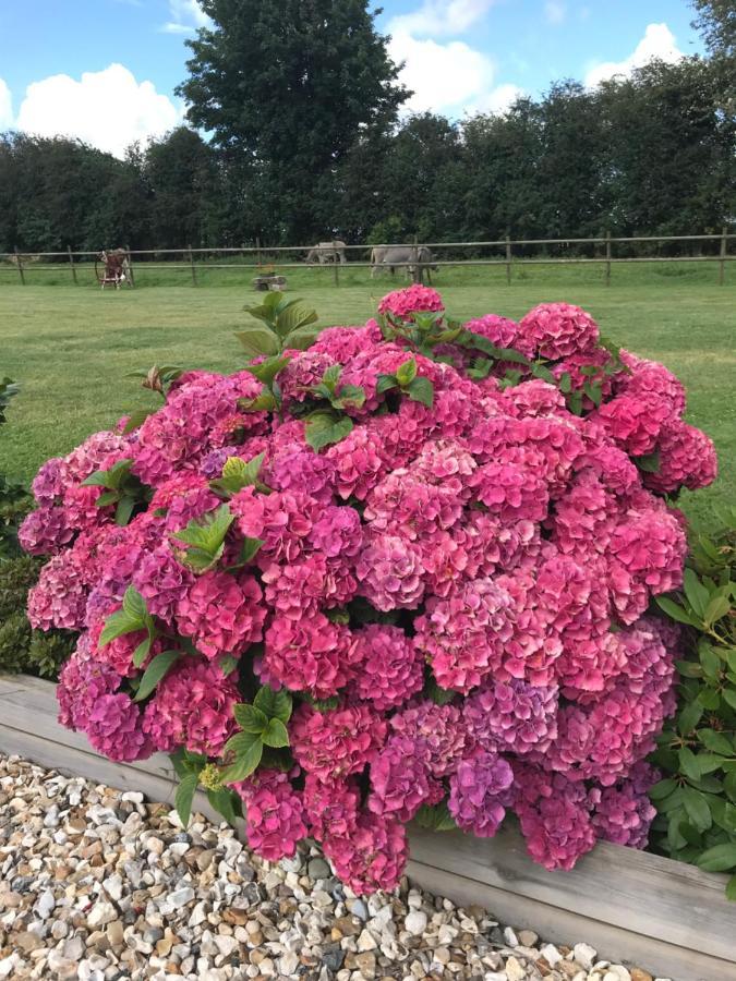 La Grange Aux Hortensias Thiergeville Buitenkant foto