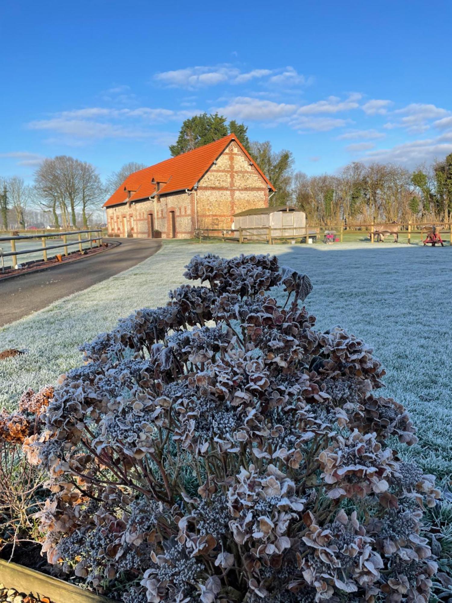 La Grange Aux Hortensias Thiergeville Buitenkant foto